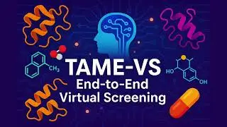 TAME-VS: End-to-End Virtual Screening in Python