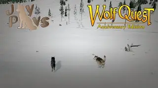 WolfQuest: Puma's Quest #40