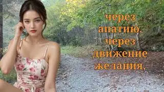 Каждый пожилой человек должен увидеть это, прежде чем станет слишком поздно Мудрость Стоицизма