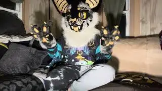 Being a Professional Mascot