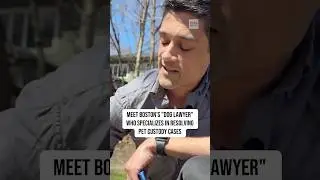 Meet Boston's 