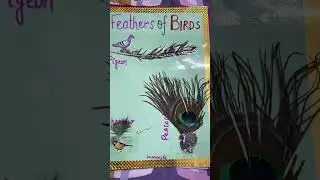 Science activity |feathers of birds|creativity|school #diy #school #diycraft #craft #schoolproject