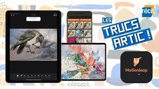 Truc arTIC : Motionleap
