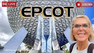Epcot Shopping/Rides/Fireworks   8/24/26 #live