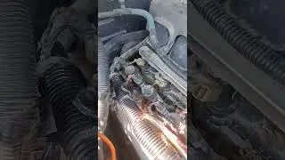 2007 Ford Mustang GT 4.6 Manual Transmission - Engine Wiring Harness Damage Storage Rodents Repair