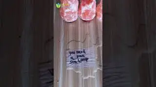 We All Need Pink Salt Lamp