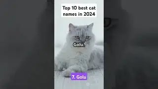 Top 10 best cat names in 2024#cats#catnames