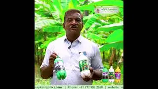 BANANA Online Farmer Mr. Puttanna giving feedback about our Products