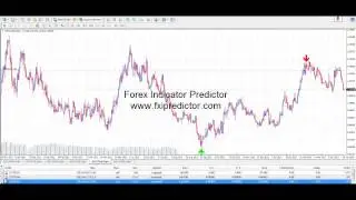 Forex Indicator Predictor - Live Trading Example + Earnings Proof