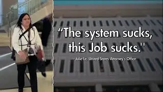 ICE attorney says the system, her job 'sucks' while in court