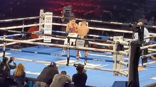 Floyd 