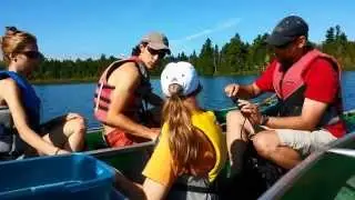 Field Methods in Water Quality Analysis