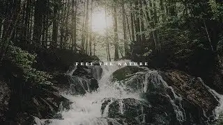 feel the nature | sony a6300 + sigma 30mm 1.4