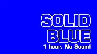 Blue Screen / Solid Blue video for 1 Hour 💙 (Background, Screensaver, Full HD, No Sound)