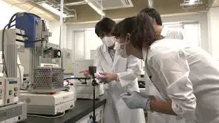 Vegan Wagyu beef? Scientists in Japan 3D-print it