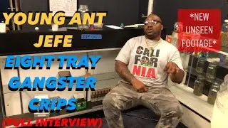 YOUNG ANT JEFE 83GC (FULL INTERVIEW)