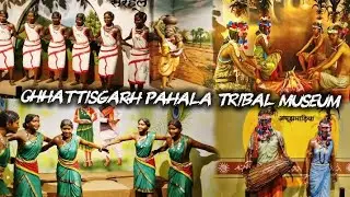 Exploring Chhattisgarh&rsquo;s First Digital Tribal Museum | Veer Narayan Singh Memorial #vlog #yt #india 