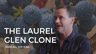 Ask the Winemaker | What is the Laurel Glen Clone?