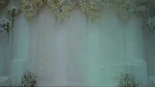 Eusebio Diaz En Vivo