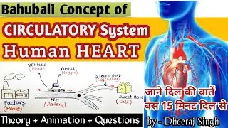 Circulatory System and Human Heart ❤ (conceptual video)
