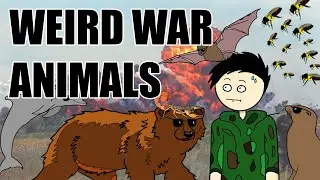 Weirdest Animals Used in War