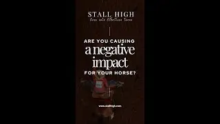 Barrel Racing Insight: Do We Harm Horses? #StallHigh #BarrelRacingTruth #HorseWelfare