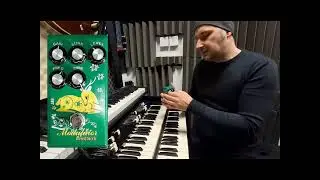 Hammond organ with Modulator Ringmod pedal for Jon Lord, Ken Hensley sounds