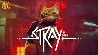 Stray - Gameplay & B12 All Memory Location (Part 1)