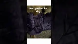 EHEYCIGA Orthopedic Dog Beds for Extra Large Dogs, Waterproof Memory Foam XL Dog Bed with Sides