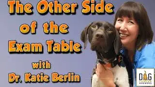 The Other Side of the Exam Table | Dr. Katie Berlin Deep Dive