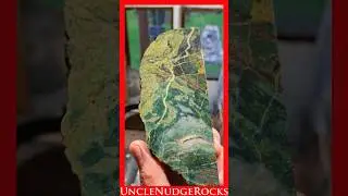 Rock Saw Cutting Jasper w/SpiderCat!!! #193 Shorts #rockhounding #lapidarysaw #rockcutting #jasper