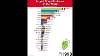 Exploring the Top Grape Producers Globally | Ultimate Guide to the Largest Grape Farms #missuniverse