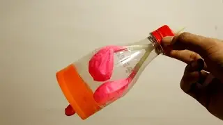 🫁 DIY Lungs Model &ndash; Fun Balloon Science Experiment! 🔬