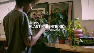 Plant Parenthood: What My Houseplants Taught Me About Life