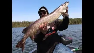 First ice out trip of 2023 chasing Northern Pike