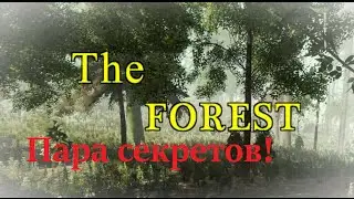 The Forest 0.24b ☢ Гайд ☢ Нос самолета и пара секретов! ☢ #9