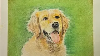 Pastel Chalk and Pancil Dog Painting. 
