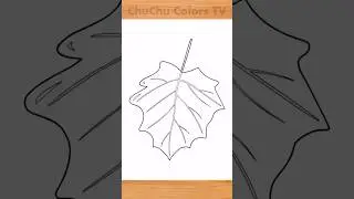 #howtodrawplants #leaf #drawplants #leafcollector