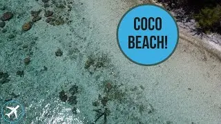 Coco Beach with our drone [Moorea 2020]