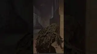 EOMM rigging