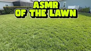Lawn Mowing, Edging ASMR