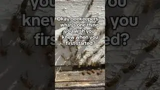 Beekeeper confessions start here... new beekeepers take notes! 📝🐝#beekeeper#honeybee #beekeeping