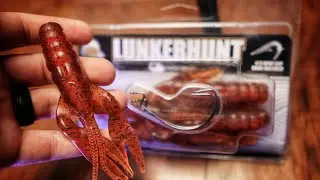 Lunkerhunt Descend Craw: Is It Worth The Money?