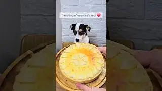 Sweet Heart Cheese Tart 🥧✨ | Easy Valentine's Dessert | #shorts #recipe