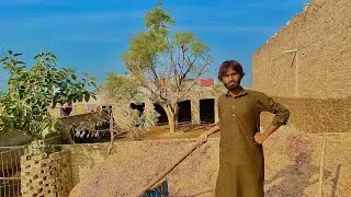 Village Boy Who Loves Buffaloes & Farming | Pendu Life Long Vlog 🐃🌾