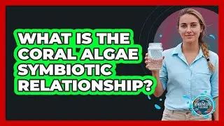 What Is the Coral Algae Symbiotic Relationship?