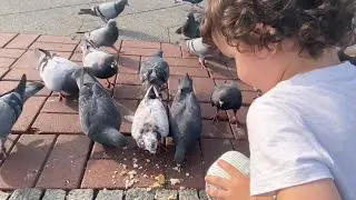 Trim's Playtime: Feeding Birds And Playing With Toys