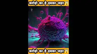 Scorpion Farming 😱 #science #sciencefacts #shorts #ytshorts || Fecttecz new video ||