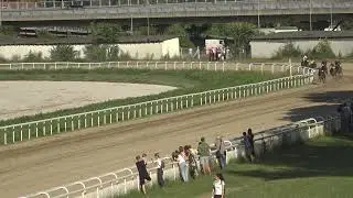 Sesta trka Beograd 13 08 2023 SRPSKE OMICE
