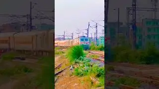 Bewakoof election man ￼#😂😂😂#shorts #comedy #funny #video #youtubeshorts